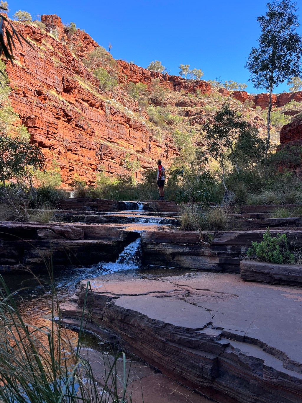 Photo of the week&nbsp;#8